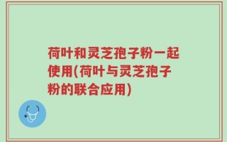 荷叶和灵芝孢子粉一起使用(荷叶与灵芝孢子粉的联合应用)