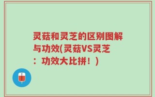 灵菇和灵芝的区别图解与功效(灵菇VS灵芝：功效大比拼！)