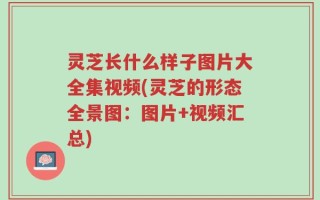 灵芝长什么样子图片大全集视频(灵芝的形态全景图：图片+视频汇总)
