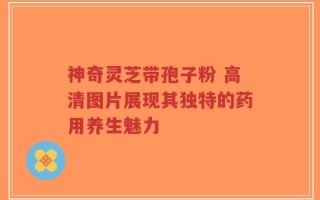 神奇灵芝带孢子粉 高清图片展现其独特的药用养生魅力