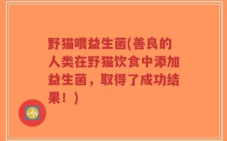 野猫喂益生菌(善良的人类在野猫饮食中添加益生菌，取得了成功结果！)