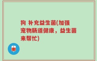 狗 补充益生菌(加强宠物肠道健康，益生菌来帮忙)
