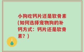 小狗吃钙片还是软骨素(如何选择宠物狗的补钙方式：钙片还是软骨素？)