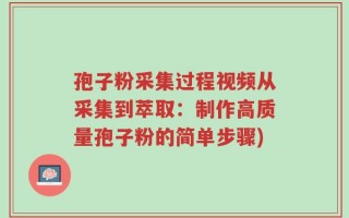 孢子粉采集过程视频从采集到萃取：制作高质量孢子粉的简单步骤)