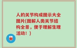 人的关节构成图示大全图片(图解人类关节结构全景，便于理解生理活动！)
