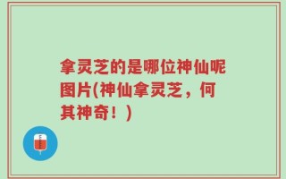 拿灵芝的是哪位神仙呢图片(神仙拿灵芝，何其神奇！)