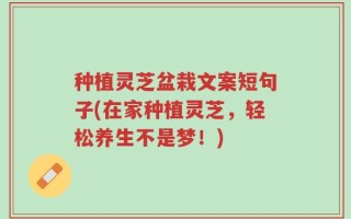 种植灵芝盆栽文案短句子(在家种植灵芝，轻松养生不是梦！)