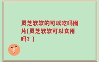 灵芝软软的可以吃吗图片(灵芝软软可以食用吗？)