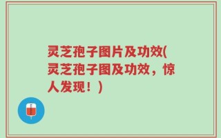 灵芝孢子图片及功效(灵芝孢子图及功效，惊人发现！)