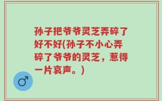 孙子把爷爷灵芝弄碎了好不好(孙子不小心弄碎了爷爷的灵芝，惹得一片哀声。)