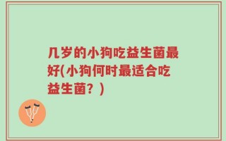 几岁的小狗吃益生菌最好(小狗何时最适合吃益生菌？)