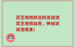 灵芝地铁附近的波波池灵芝地铁站旁，神秘波波池现身)
