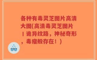 各种有毒灵芝图片高清大图(高清毒灵芝图片丨诡异纹路，神秘奇形，毒瘤般存在！)