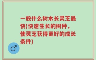 一般什么树木长灵芝最快(快速生长的树种，使灵芝获得更好的成长条件)