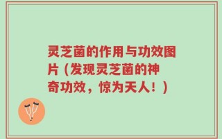 灵芝菌的作用与功效图片 (发现灵芝菌的神奇功效，惊为天人！)