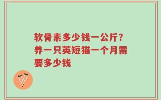 软骨素多少钱一公斤？养一只英短猫一个月需要多少钱