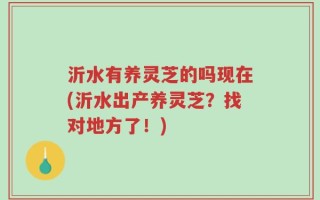 沂水有养灵芝的吗现在(沂水出产养灵芝？找对地方了！)