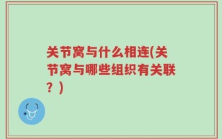 关节窝与什么相连(关节窝与哪些组织有关联？)