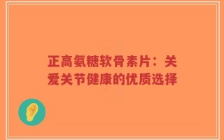 正高氨糖软骨素片：关爱关节健康的优质选择