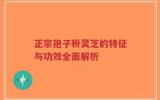正宗孢子粉灵芝的特征与功效全面解析