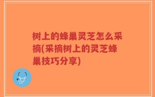 树上的蜂巢灵芝怎么采摘(采摘树上的灵芝蜂巢技巧分享)