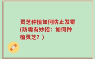 灵芝种植如何防止发霉(防霉有妙招：如何种植灵芝？)