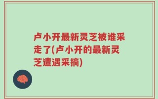 卢小开最新灵芝被谁采走了(卢小开的最新灵芝遭遇采摘)