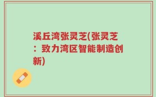 溪丘湾张灵芝(张灵芝：致力湾区智能制造创新)