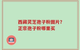 西藏灵芝孢子粉图片？正宗孢子粉哪里买