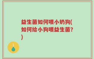 益生菌如何喂小奶狗(如何给小狗喂益生菌？)