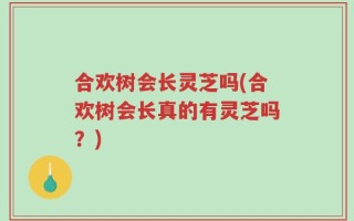 合欢树会长灵芝吗(合欢树会长真的有灵芝吗？)