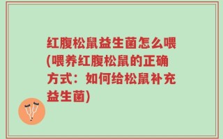 红腹松鼠益生菌怎么喂(喂养红腹松鼠的正确方式：如何给松鼠补充益生菌)