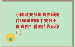 小脚趾关节能弯曲吗图片(脚趾的哪个关节不能弯曲？看图片告诉你！)