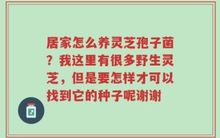 居家怎么养灵芝孢子菌？我这里有很多野生灵芝，但是要怎样才可以找到它的种子呢谢谢