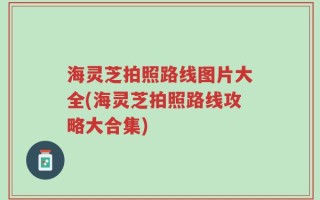海灵芝拍照路线图片大全(海灵芝拍照路线攻略大合集)