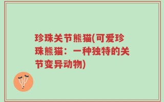 珍珠关节熊猫(可爱珍珠熊猫：一种独特的关节变异动物)