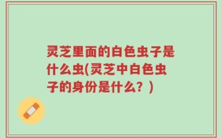 灵芝里面的白色虫子是什么虫(灵芝中白色虫子的身份是什么？)
