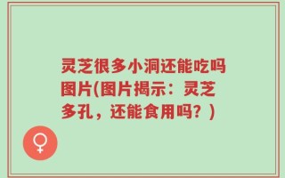 灵芝很多小洞还能吃吗图片(图片揭示：灵芝多孔，还能食用吗？)