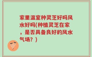 家里温室种灵芝好吗风水好吗(种植灵芝在家，是否具备良好的风水气场？)