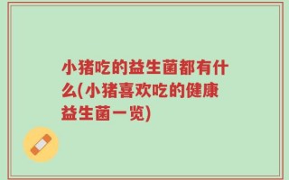 小猪吃的益生菌都有什么(小猪喜欢吃的健康益生菌一览)