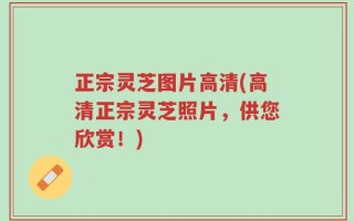 正宗灵芝图片高清(高清正宗灵芝照片，供您欣赏！)