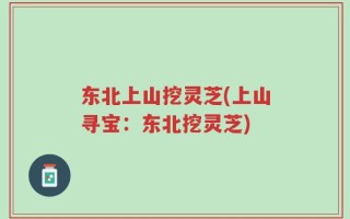 东北上山挖灵芝(上山寻宝：东北挖灵芝)
