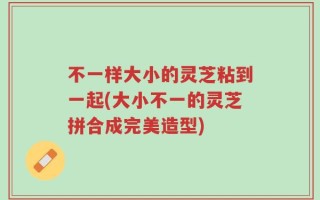 不一样大小的灵芝粘到一起(大小不一的灵芝拼合成完美造型)