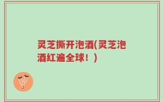 灵芝撕开泡酒(灵芝泡酒红遍全球！)