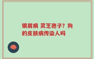 银屑病 灵芝孢子？狗的皮肤病传染人吗