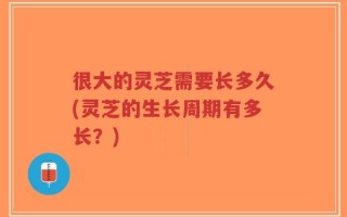 很大的灵芝需要长多久(灵芝的生长周期有多长？)