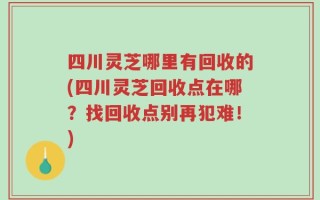 四川灵芝哪里有回收的(四川灵芝回收点在哪？找回收点别再犯难！)
