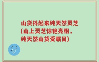 山货抖起来纯天然灵芝(山上灵芝惊艳亮相，纯天然山货受瞩目)