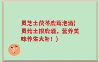 灵芝土茯苓鹿茸泡酒(灵菇土根鹿酒，营养美味养生大补！)