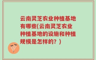 云南灵芝农业种植基地有哪些(云南灵芝农业种植基地的设施和种植规模是怎样的？)